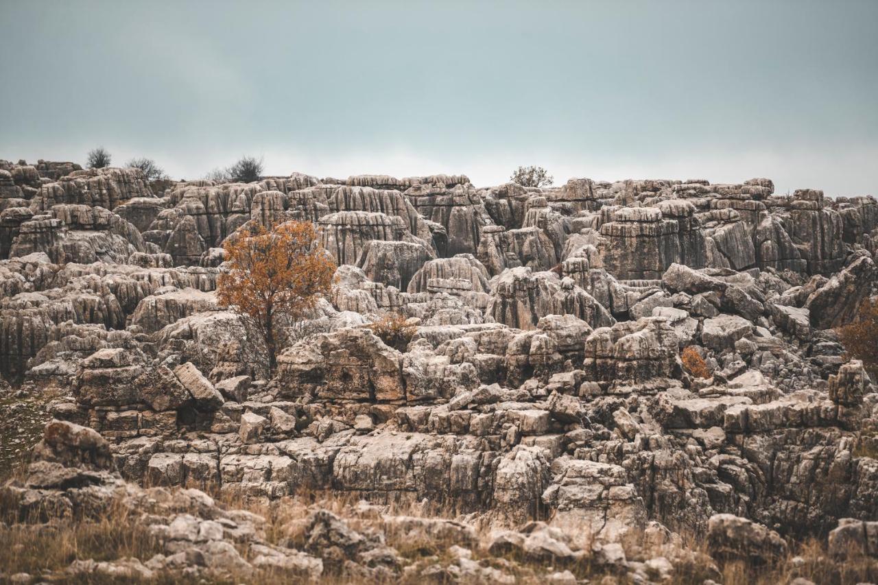 Hotel Odom Retreat Mzaar Kfardebian Zewnętrze zdjęcie